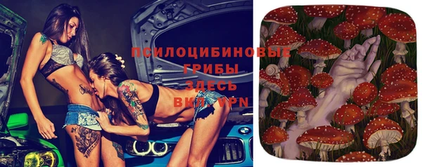 ешки Волоколамск