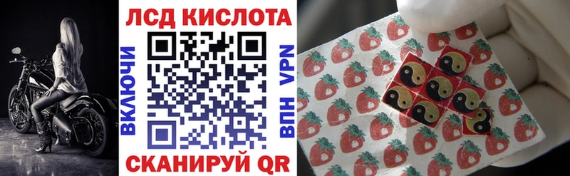 Марки N-bome 1500мкг  наркотики  Чекалин 